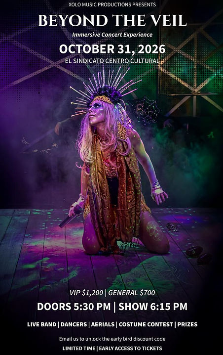 Beyond the Veil: Immersive Concert Experience